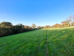 Photo 50- click for photo gallery